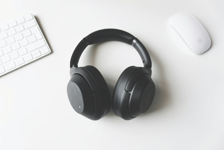 Head Phones/ Ear Buds