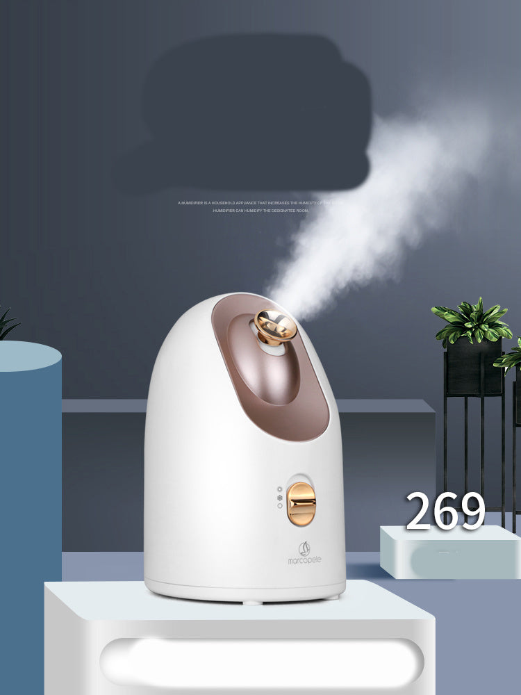Dual Steam Face Spa Machine