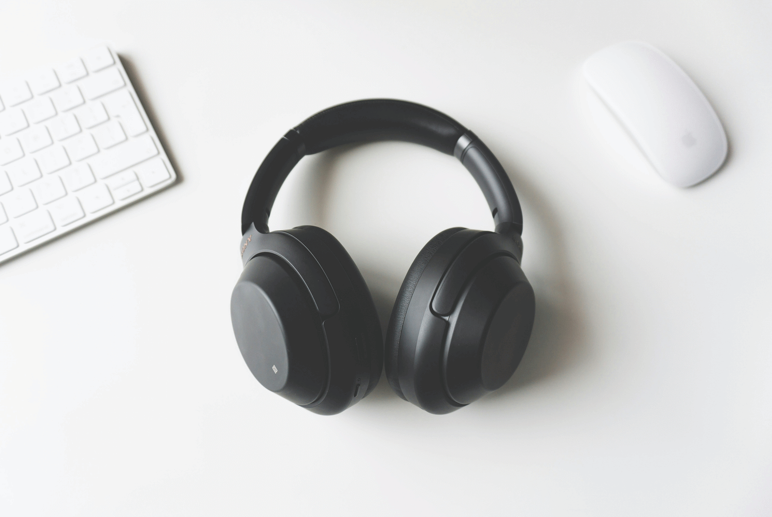Head Phones/ Ear Buds