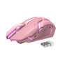 T1 Wireless Gaming Mouse – Ergonomic Design, 1600 DPI, 6 Buttons, USB Receiver, 2.4GHz Wireless, Compatible with Laptops