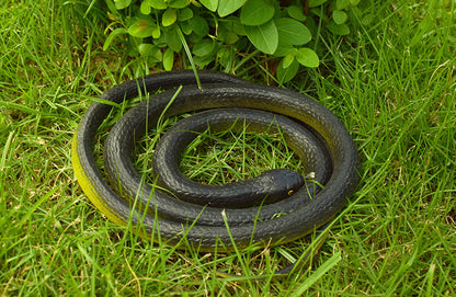 80cm Soft Rubber Simulation Snake Toy