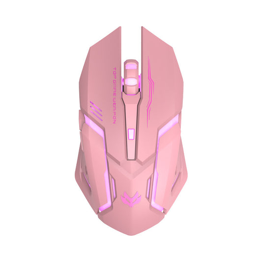 T1 Wireless Gaming Mouse – Ergonomic Design, 1600 DPI, 6 Buttons, USB Receiver, 2.4GHz Wireless, Compatible with Laptops