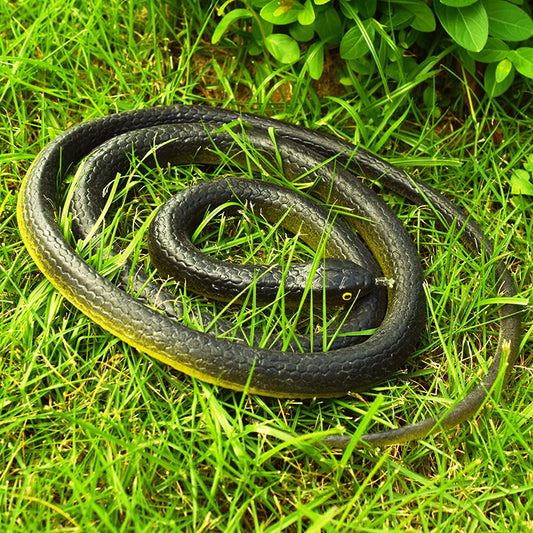 80cm Soft Rubber Simulation Snake Toy